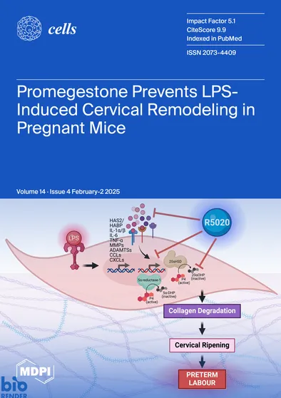 Journal Issue Cover Image