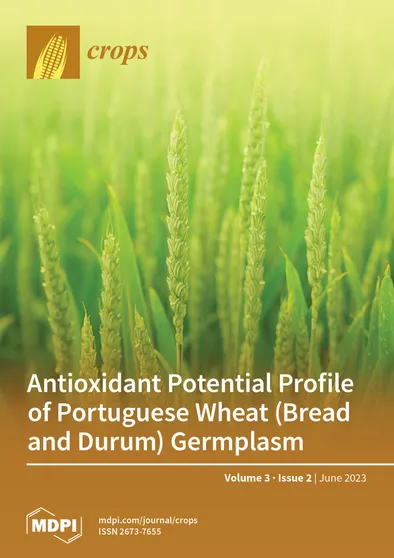 Journal Issue Cover Image