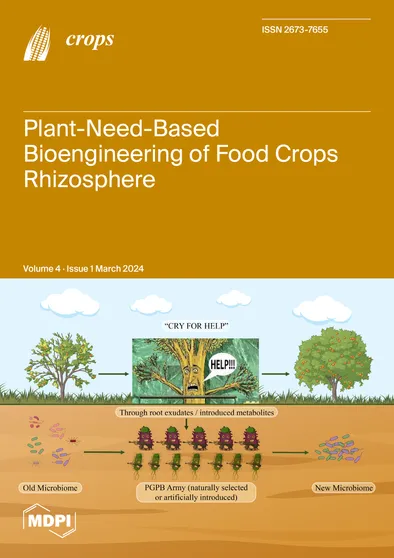 Journal Issue Cover Image