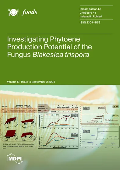 Journal Issue Cover Image