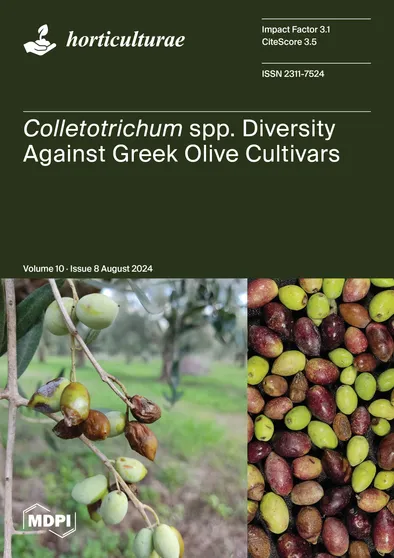 Journal Issue Cover Image