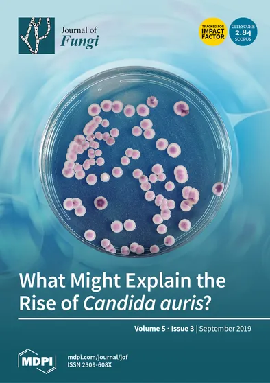 Journal Issue Cover Image