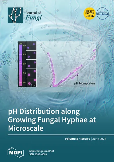 Journal Issue Cover Image