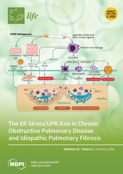 Journal Issue Cover Image