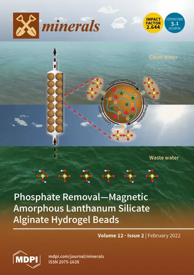 Journal Issue Cover Image