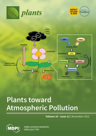 Journal Issue Cover Image