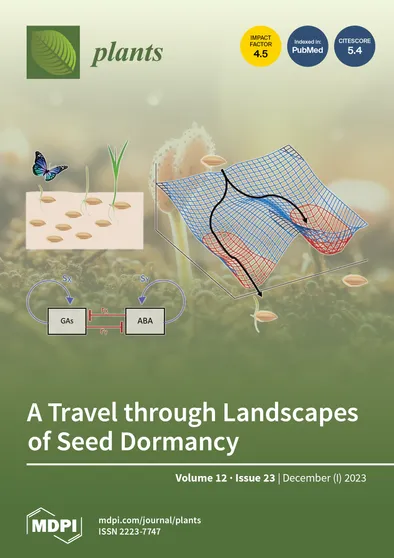 Journal Issue Cover Image