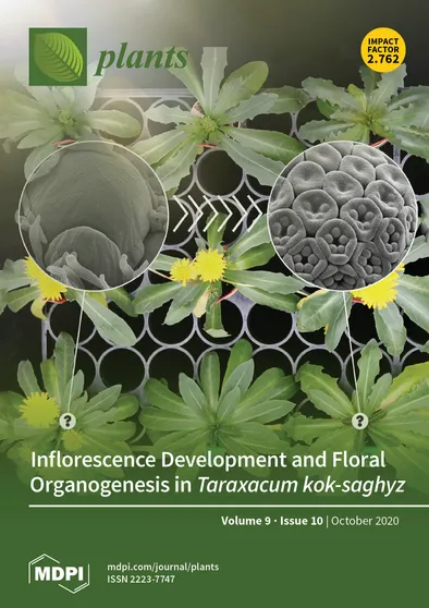 Journal Issue Cover Image