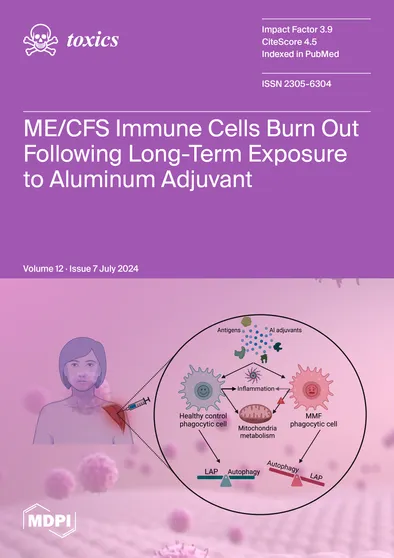 Journal Issue Cover Image