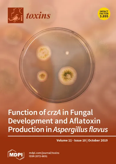 Journal Issue Cover Image