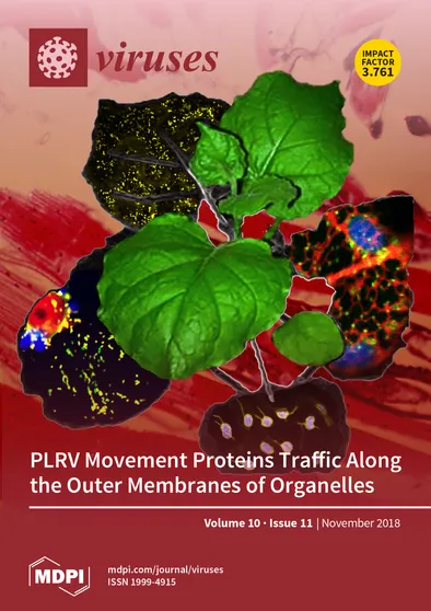 Journal Issue Cover Image