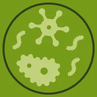 Journal Logo