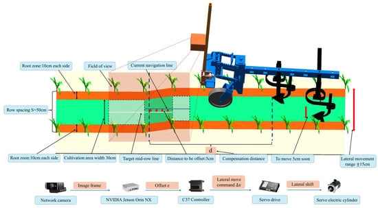 Operating principle diagram of the inter-row cultivator.