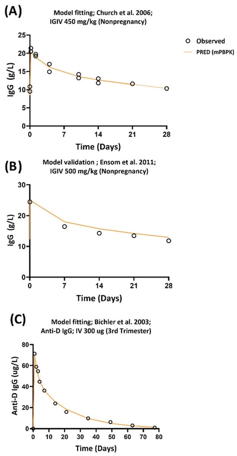 The observed and model predicted IVIG and anti-D Ig concentrations in nonpregnant and pregnant subjects. (A) IVIG concentration profile obtained from Church et al. 2006 [24] and mPBPK fitted curve (orange) and (B) external validation of mPBPK model with PK data from nonpregnant subjects obtained from Ensom et al. 2011 [26]. (C) Anti-D Ig concentration following intravenous administration obtained from Bichler et al. 2003 [25] and mPBPK fitted curve (orange). List of PK studies of IVIG and anti-D Ig is shown in Table S1.