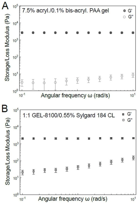 Mechanical characterization of materials typically used as the TFM substrate. Bulk shear rheology of (A) PAA hydrogel of 7.5% acrylamide: 0.1% bis-acrylamide composition and (B) soft silicone 1:1 GEL-8100/0.55% Sylgard 184 crosslinker (CL). Storage shear modulus (G′, filled symbols) and loss shear modulus (G″, open symbols) have been plotted as a function of angular frequency (ω).