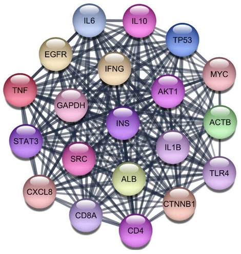 Top 20 Proteins in the PPI Network.
