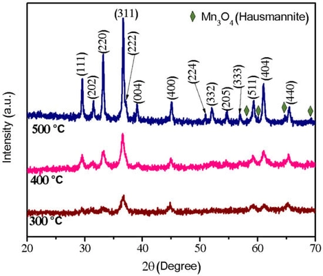 XRD patterns of precursor powder calcined at 300, 400 and 500 °C.