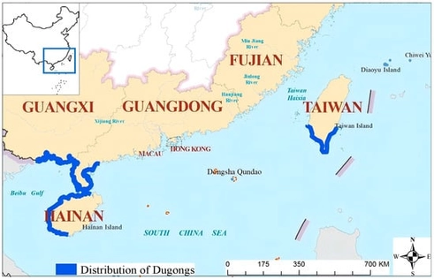 Distribution map of Chinese dugongs.