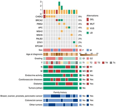 Oncoplot depicting genetic alterations and clinical features. Only patients harboring at least one mutation are shown. Abbreviations: DEL, deletion; MUT, mutation; VUS, variant of uncertain significance; LB, likely benign; T, tumor; N, node; M, metastasis; F, female; M, male.