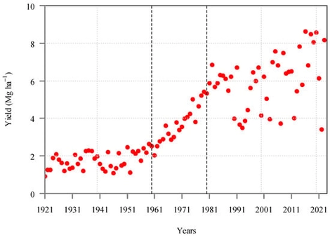 Maize yield in Hungary in the period of 1921–2023 (source: Hungarian Statistical Office [18]). In the period from 1960 to 1980 (between the dashed lines), yield increase followed a nearly linear trend.
