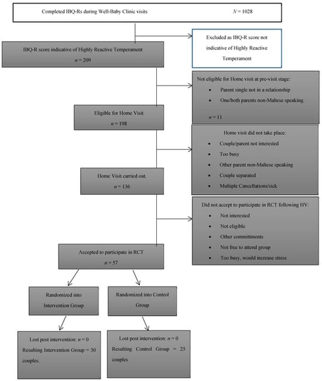 Trial flow chart: Recruitment progression and randomisation.