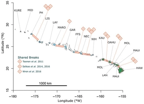 Summary of multispecies connectivity patterns previously reported for the Hawaiian Archipelago. Barriers to dispersal are indicated by red-orange rectangles labeled by the study that proposed each one. Longer rectangles indicate uncertainty in the exact location of the barrier. Toonen et al. [33] and Selkoe et al. [36] are based on reviews of empirical genetic data, while Wren et al. [35] is based on oceanographic dispersal modeling. Land and reef color are scaled by depth, with land elevation scaled in greens (islands) and water depth scaled in blues (atolls). The thin black line represents the 1000 m bathymetric isoline surrounding the islands and atolls. Site codes based on modern English names: Kure (KURE), Midway (MID), Pearl and Hermes (PH), Lisianski (LIS), Laysan (LAY), Maro Reef (MARO), Gardner Pinnacles (GAR), French Frigate Shoals (FFS), Necker (NEC), Nihoa (NIH), Kauaʻi (KAU), Oʻahu (OAHU), Molokaʻi (MOL), Lānaʻi (LAN), Maui (MAUI), and Hawaiʻi (HAW).