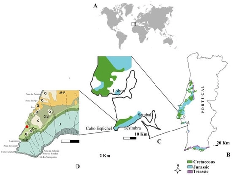 Location of the Boca do Chapim, Cabo Espichel, south of Lisbon. (A) Position of Portugal in a world map (B) Map of Portugal showing the Mesozoic occurrences; (C) Map of the Lisbon and Setúbal peninsulas highlighting the Mesozoic areas; (D) Geological map of the Cabo Espichel area. The red ball points out the site of the Boca do Chapim. J—Jurássic; C(a)—Berreasian; C(HB) CHB—Hauterivian-Barremian; C(b)—Aptian-Albian; M-P—Mio-Pliocene; Q—Quaternary.
