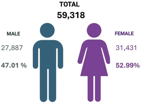 Distribution by sex of the total blood donations analyzed by the Centro de Sangre Concepción during the year 2024. Created in BioRender. Alarcón, S. (2025) (Accessed on 25 June 2025).