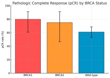 Pathologic complete response (pCR) by BRCA status. Bar chart illustrating the rate of pathologic complete response (pCR) according to BRCA mutational status in the study cohort (n = 184). pCR rates were higher in BRCA1- and BRCA2-mutated tumors (80.0% and 75.0%, respectively) compared with wild-type tumors (61.1%), with overlapping 95% confidence intervals (error bars). When pooled, BRCA1/2-mutated cases achieved a 78.4% pCR rate versus 61.1% in wild-type, showing a trend toward statistical significance (p = 0.056, Fisher’s exact test).