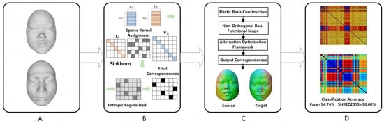 The framework of SRE-FMaps for non-isometric 3D shape matching in imaging applications. (A) Input 3D Models; (B) Initial Map Calculation; (C) Elastic Basis Calculation; (D) Distance Calculation and Classification.