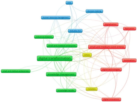 Keyword co-occurrence network derived from reviewed literature, illustrating thematic clusters and interlinkages between key terms.