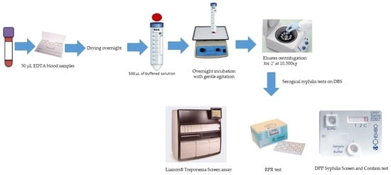 Workflow for serological syphilis screening on DBS samples.