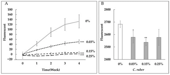 Dose-dependent inhibition of collagen glycation by C. ruber extract. Collagen glycation assays were performed to evaluate the anti-glycation activity of C. ruber extract at concentrations of 0.03%, 0.15%, and 0.25%. (A) Inhibition of fructose-induced collagen glycation. (B) Inhibition of glyceraldehyde (GA)-induced collagen glycation. Fluorescence intensity was measured at λex = 370 nm and λem = 440 nm after 24 h (GA) or weekly for 4 weeks (fructose). C. ruber extract demonstrated significant, dose-dependent inhibition of collagen glycation in both models. Each line represents the mean ± SD of four independent measurements. *: p &lt; 0.05, **: p &lt; 0.01, ***: p &lt; 0.001.