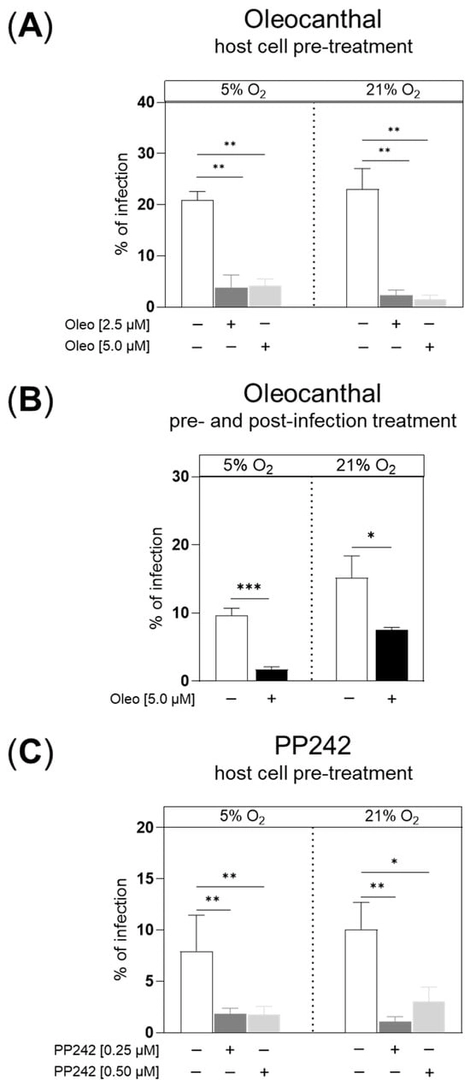 Effects of oleocanthal and PP242 treatments on C. parvum infection under physioxia (5% O2) and hyperoxia (21% O2) conditions. Confluent HCT-8 cells were cultivated for 24 h in the presence of the respective inhibitor, infected for 3 h and cultivated for another 45 h p. i. without inhibitor = host cell pre-treatment (A,C) or cultivated for another 45 h in the presence of the inhibitor = pre- and post-infection treatment (B) (Figure S2). Both inhibitors were tested in parallel at 5% and 21% O2 conditions. As read-out of inhibitor effects, infection rates were estimated microscopically at 48 h p. i. after fixing and staining the cells by Vicia villosa to detect C. parvum stages and by DAPI to detect host cell nuclei. The total number of infected host cells was counted and divided by the total number of host cells in the same field of view and graphed as a percentage of infected cells (infection rate). Graph bars represent the mean of six replicates ± SD. *: p &lt; 0.05%, **: p &lt; 0.01%, ***: p &lt; 0.001%.