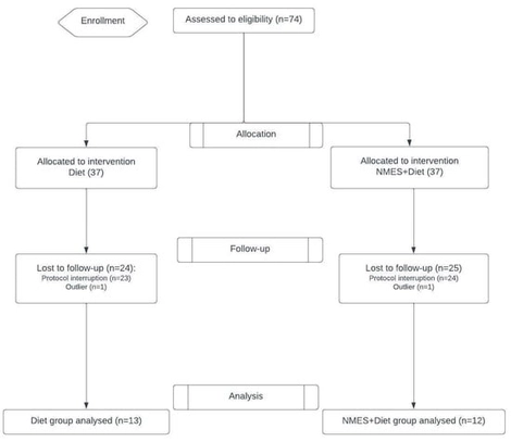 Study flowchart. NMES: neuromuscular electrical stimulation.