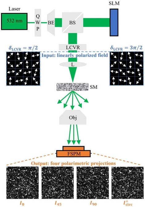 Experimental setup and polarimetric acquisition. A 532 nm laser beam is initially converted to right-circular polarization by a QWP at 
  
    45
    ∘
  
, then expanded (BE), and directed by a beam splitter (BS) to a reflective, liquid-crystal SLM. After reflection, an LCVR with its fast axis fixed at 
  
    −
    
      45
      ∘
    
  
 applies a selectable retardance 
  δ
; two settings used here are 
  
    π
    /
    2
  
 and 
  
    3
    π
    /
    2
  
 (blue dashed insets). For each setting, the SLM phase 
  
    ϕ
    (
    r
    )
  
 is converted into a spatially varying, linearly polarized input field (the AoLP map flips sign between the two cases). A relay lens (L) illuminates the scattering medium (SM), and an objective (Obj) images the transmitted speckle onto a full-Stokes polarimetry module (FSPM). The FSPM records four analyzer images 
  
    I
    0
  
, 
  
    I
    45
  
, 
  
    I
    90
  
, and 
  
    I
    
      circ
    
    
      (
      +
      )
    
  
, enabling per-pixel full-Stokes polarimetry.