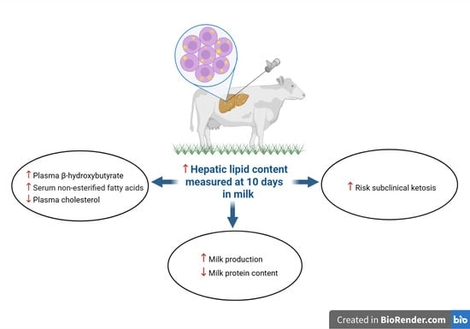 Article thumbnail image