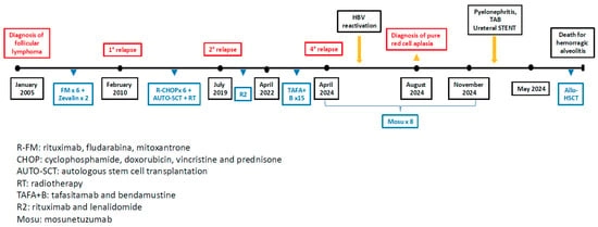 Patient’s timeline treatment.