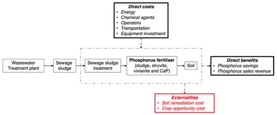 Schematic representation of system boundaries for the use of P from wastewater sewage sludge: current sewage sludge P (baseline scenario) and alternative recycled P (struvite, vivianite, and CaP).
