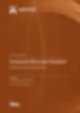 Industrial Minerals Flotation