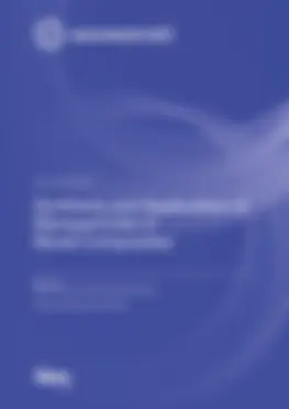 Synthesis and Application of Nanoparticles in Novel Composites