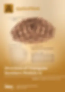 Volume 2, Issue 3
