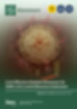 Volume 13, Issue 9