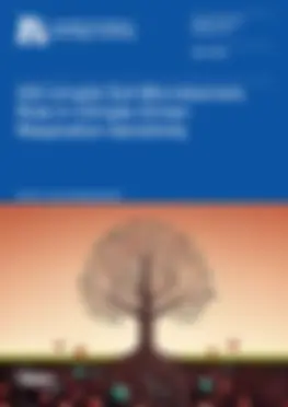 Volume 6, Issue 3