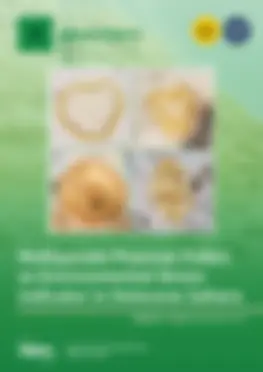Volume 5, Issue 4