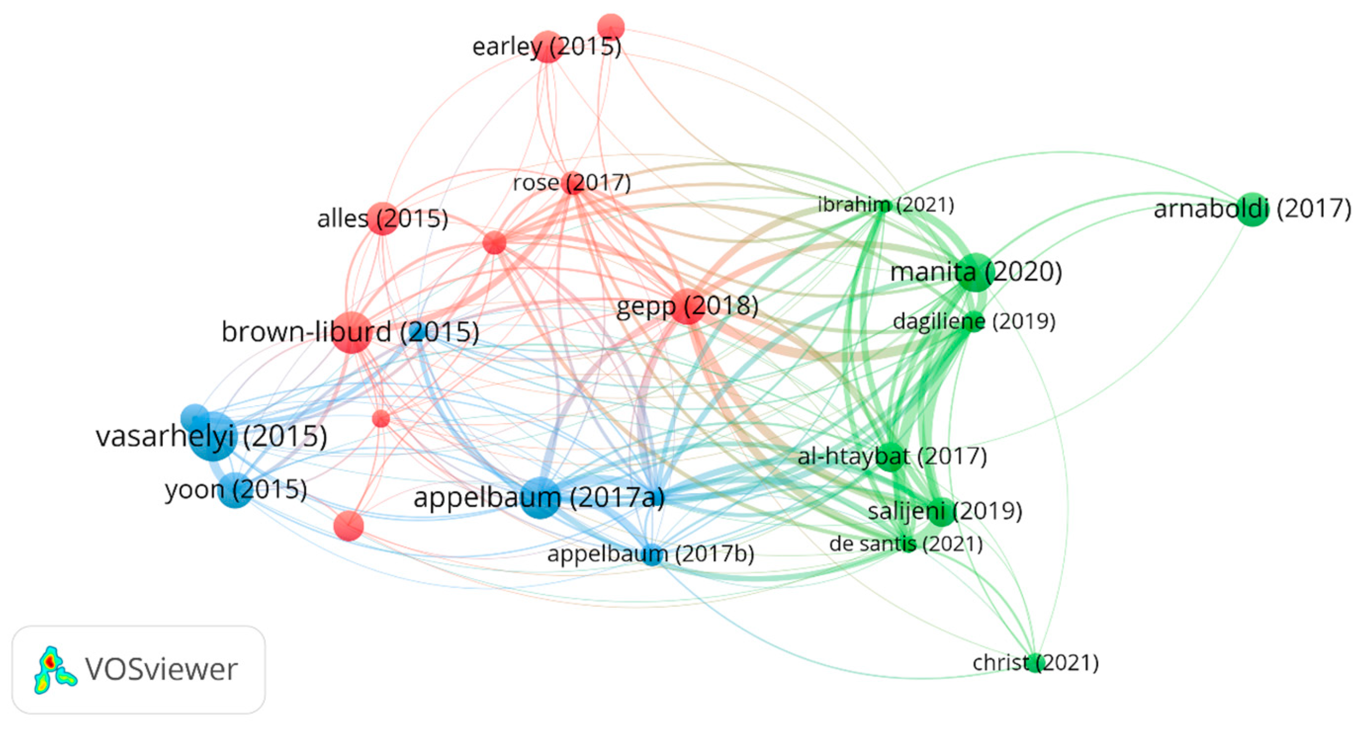Accountaudit 01 00008 g006