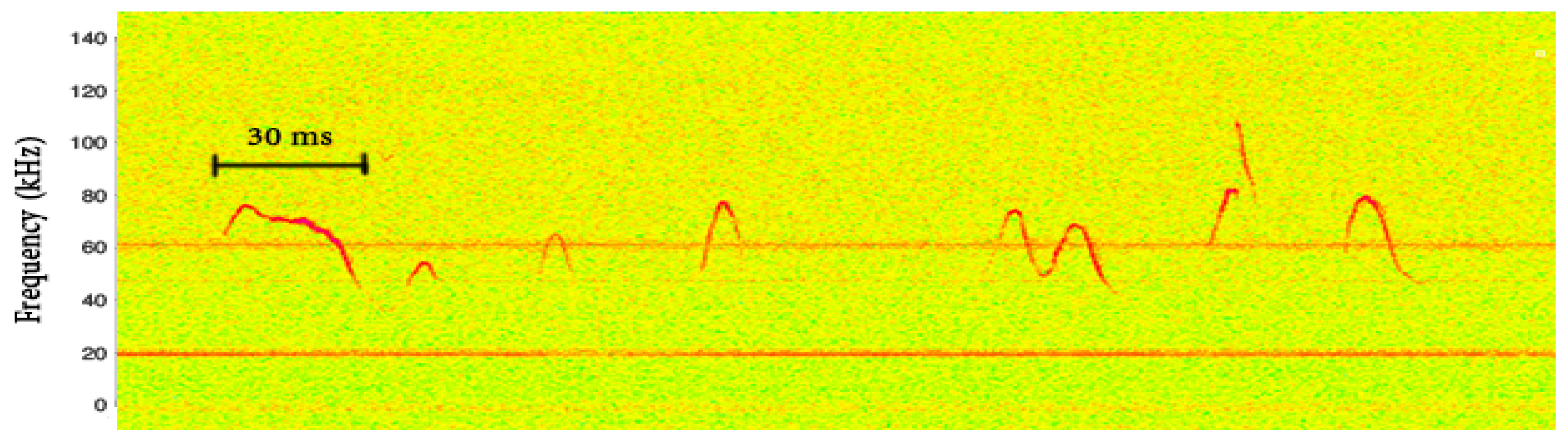 Acoustics 01 00050 g001