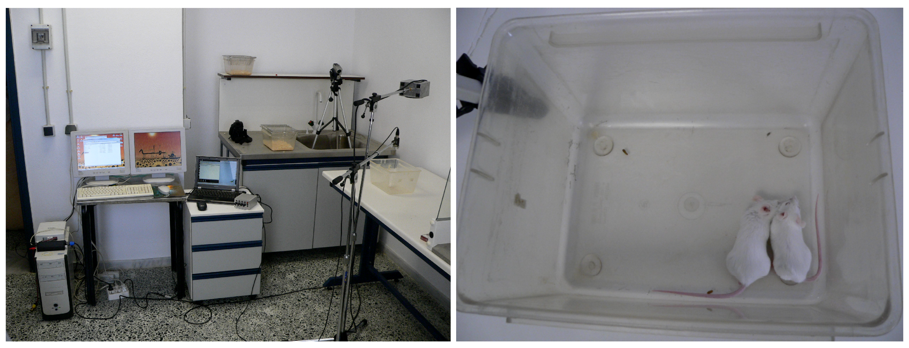 Acoustics 01 00050 g002