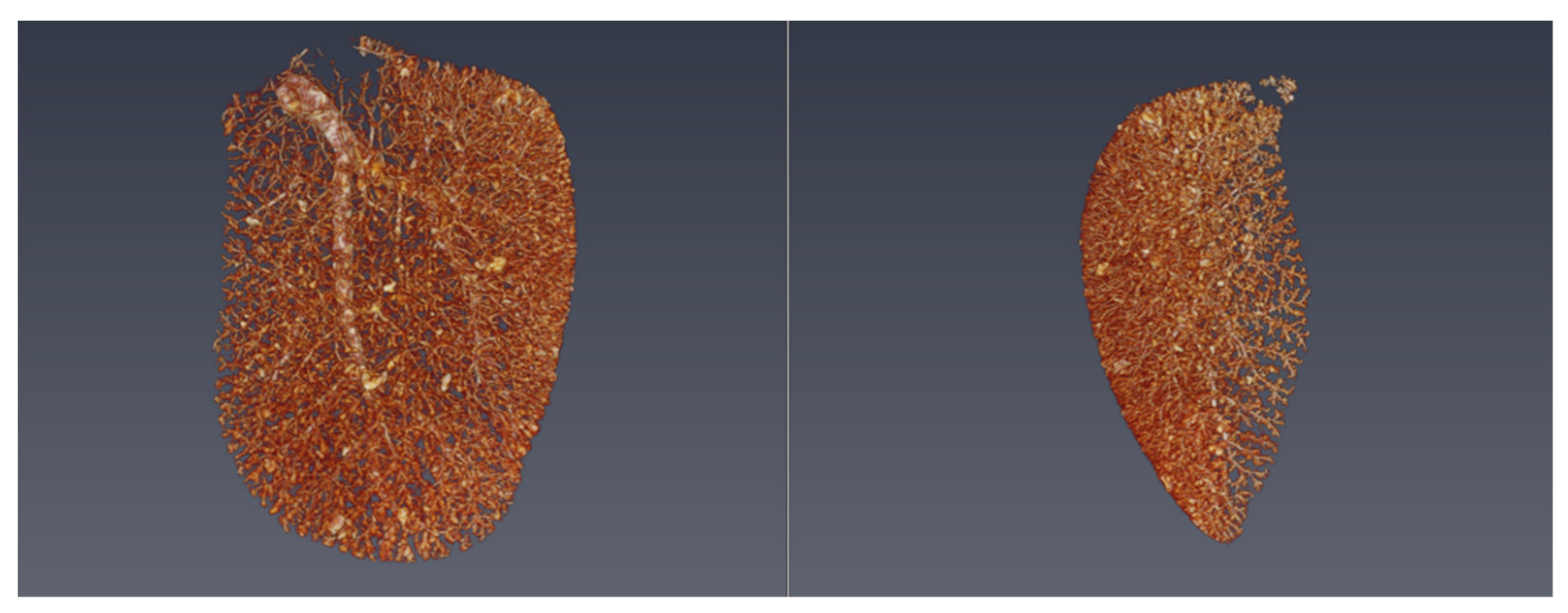 Acoustics 02 00002 g001