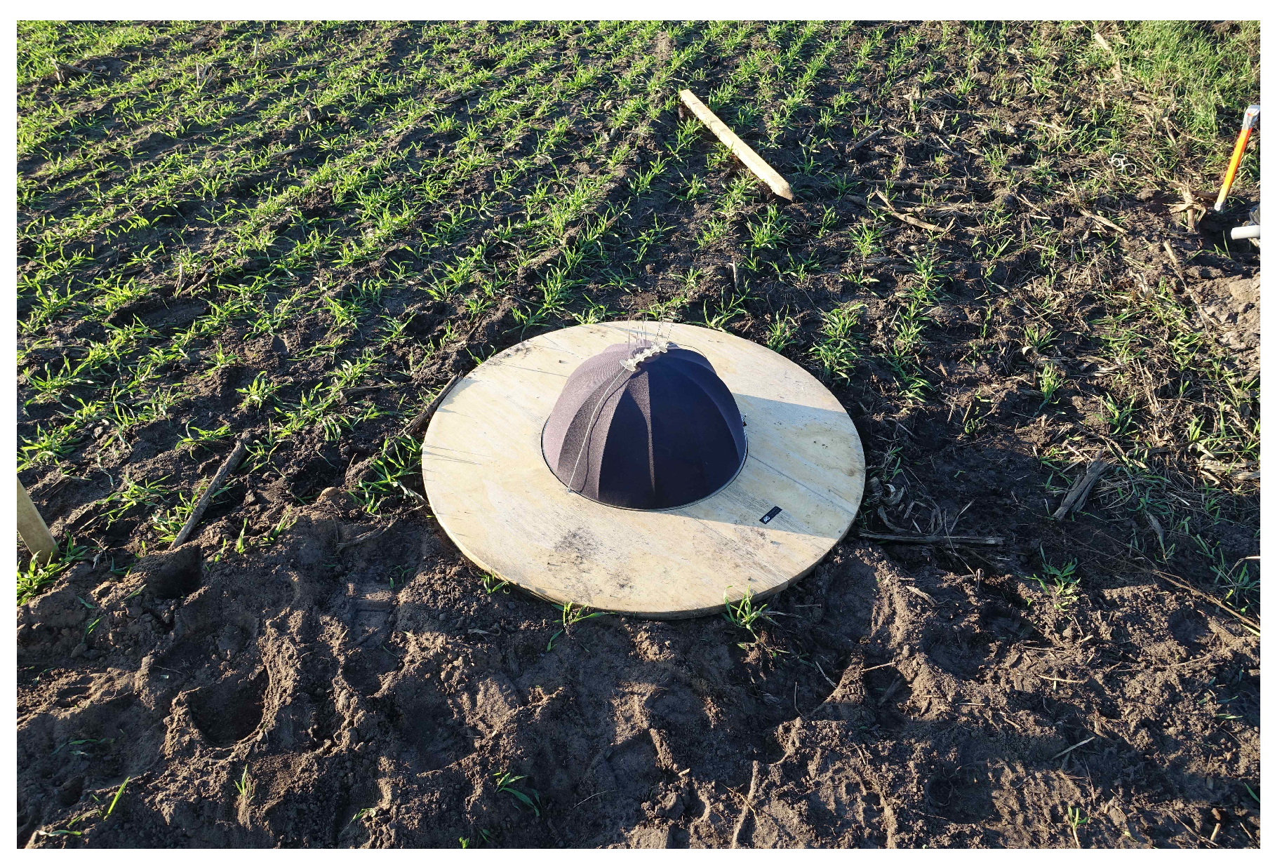 Acoustics 02 00020 g002